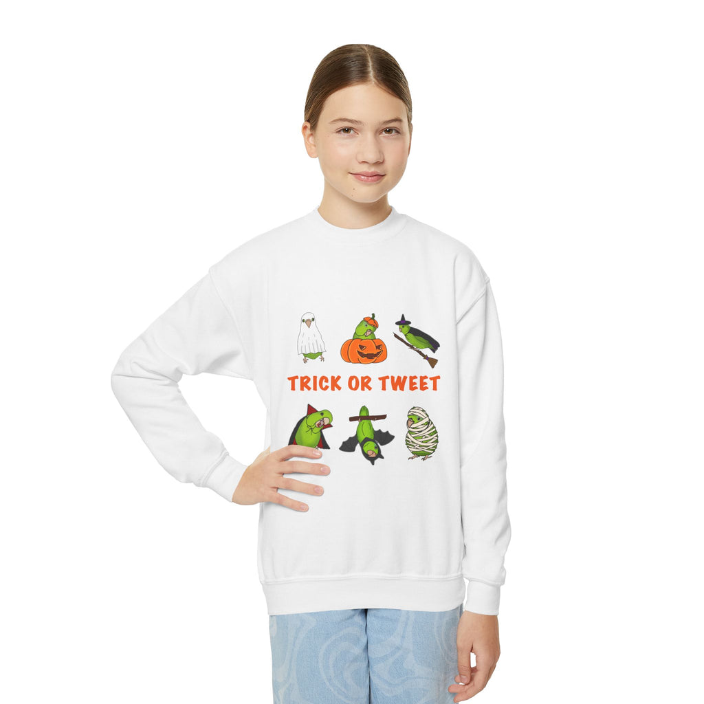 Trick or Tweet Parrotlet : KIDS Halloween Crewneck Sweatshirt, Trick or Treat Sweater, Cute Kids Halloween Apparel, Bird Lover, Spooky Season Clothing