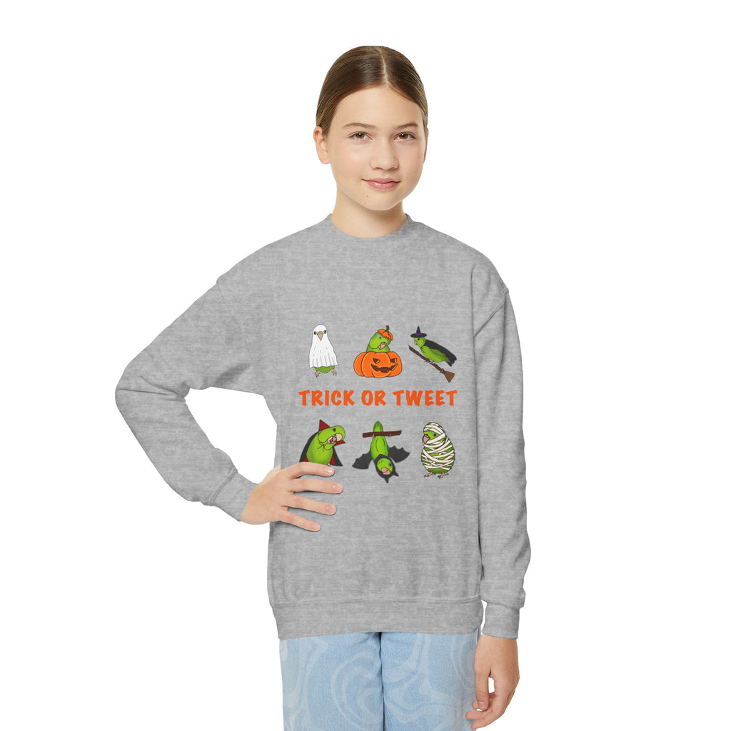 Trick or Tweet Parrotlet : KIDS Halloween Crewneck Sweatshirt, Trick or Treat Sweater, Cute Kids Halloween Apparel, Bird Lover, Spooky Season Clothing