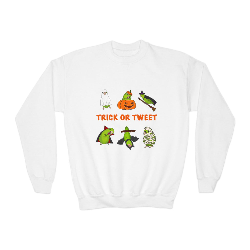 Trick or Tweet Parrotlet : KIDS Halloween Crewneck Sweatshirt, Trick or Treat Sweater, Cute Kids Halloween Apparel, Bird Lover, Spooky Season Clothing