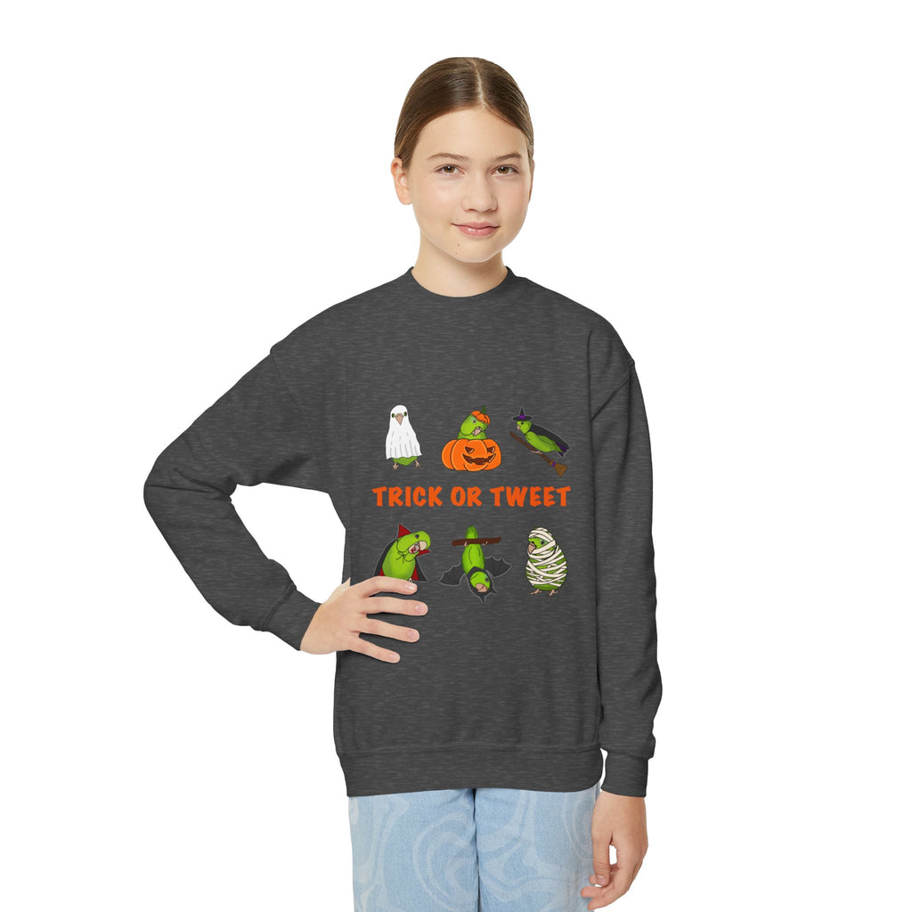 Trick or Tweet Parrotlet : KIDS Halloween Crewneck Sweatshirt, Trick or Treat Sweater, Cute Kids Halloween Apparel, Bird Lover, Spooky Season Clothing