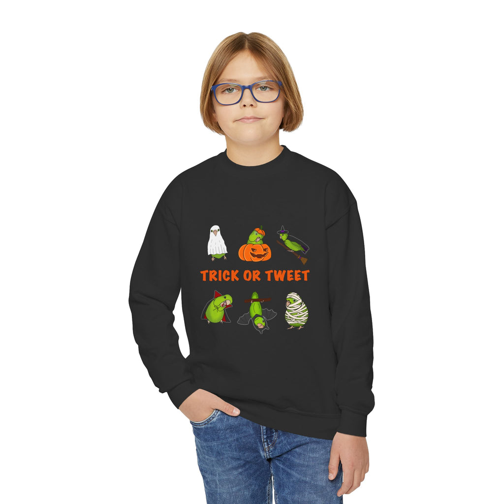 Trick or Tweet Parrotlet : KIDS Halloween Crewneck Sweatshirt, Trick or Treat Sweater, Cute Kids Halloween Apparel, Bird Lover, Spooky Season Clothing