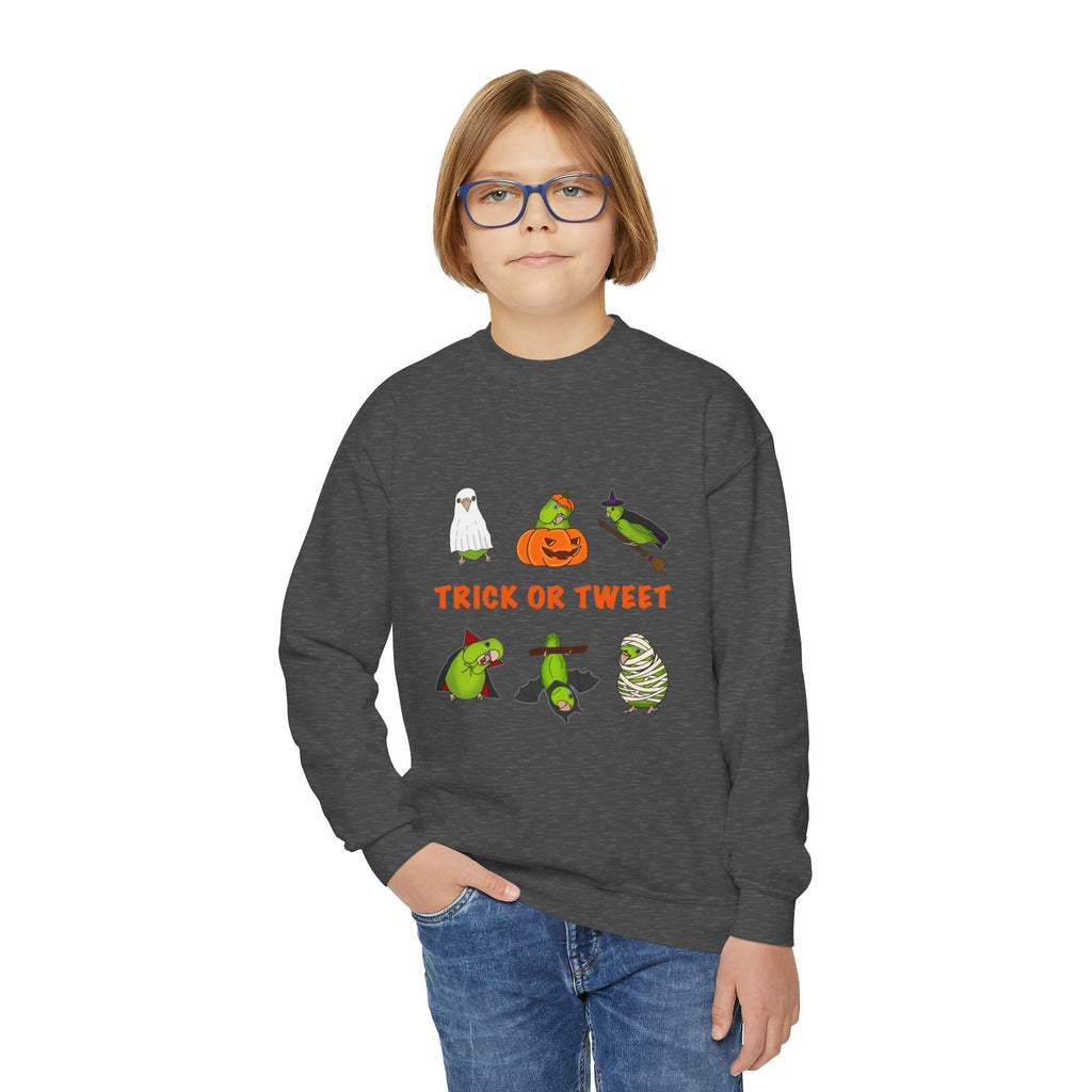 Trick or Tweet Parrotlet : KIDS Halloween Crewneck Sweatshirt, Trick or Treat Sweater, Cute Kids Halloween Apparel, Bird Lover, Spooky Season Clothing
