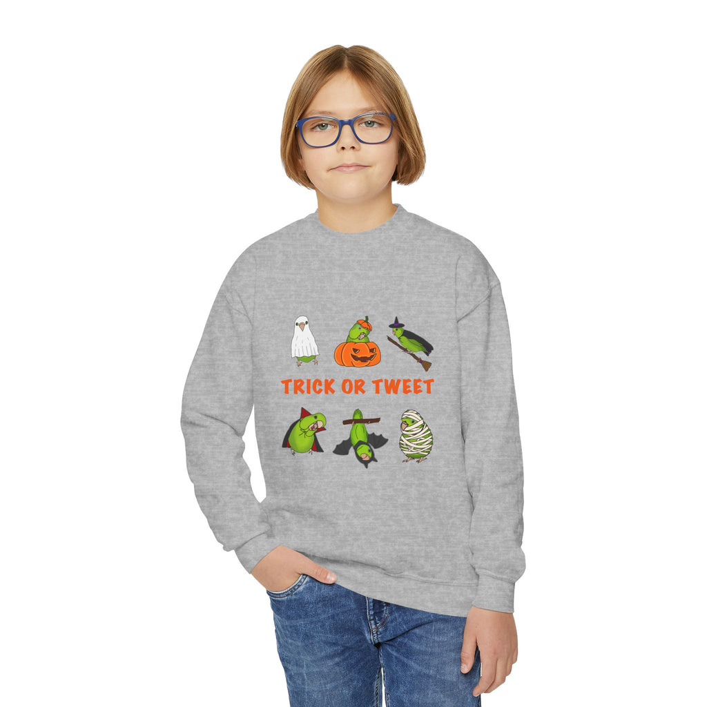 Trick or Tweet Parrotlet : KIDS Halloween Crewneck Sweatshirt, Trick or Treat Sweater, Cute Kids Halloween Apparel, Bird Lover, Spooky Season Clothing